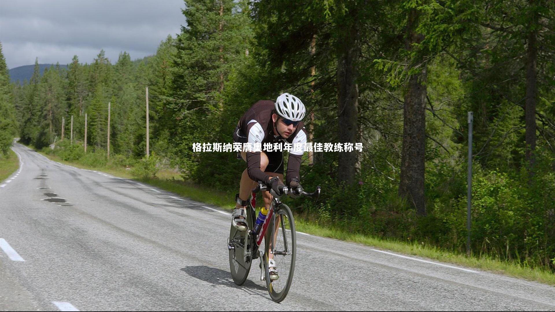 格拉斯纳荣膺奥地利年度最佳教练称号