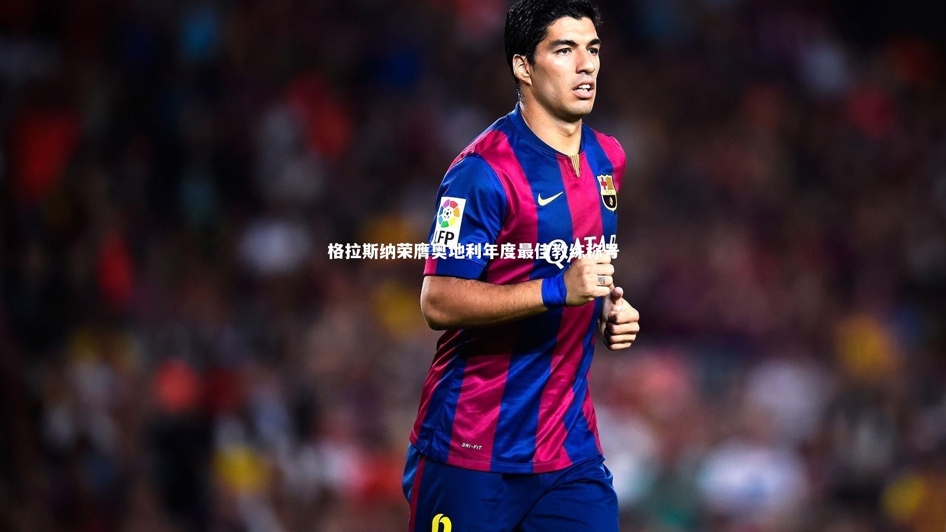 格拉斯纳荣膺奥地利年度最佳教练称号